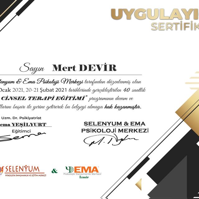 Resmi büyüt: certificate 3