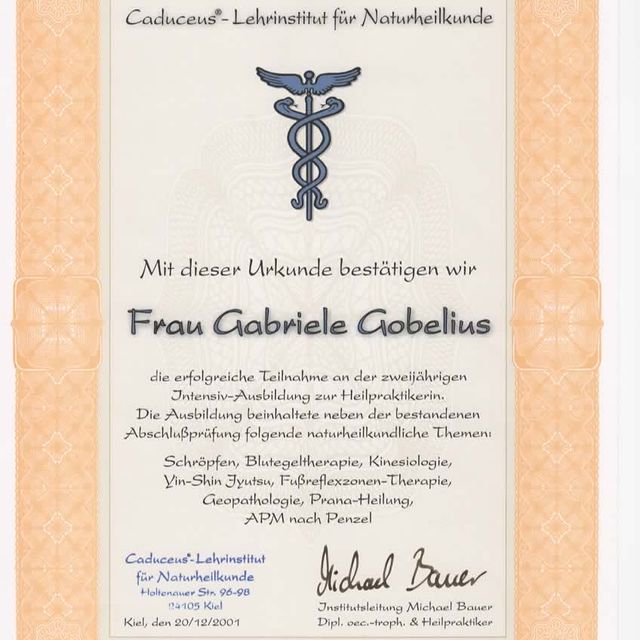 Bild vergrößern: certificate 2