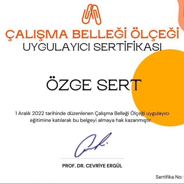 Resmi büyüt: certificate 6
