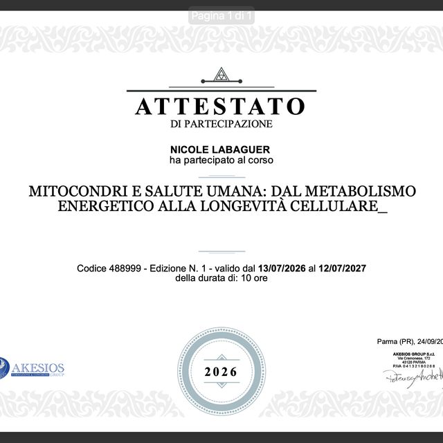Ingrandire l'immagine: certificate 25