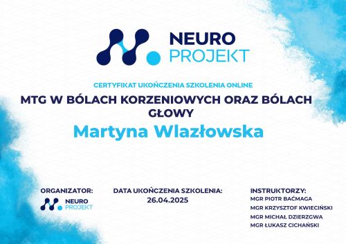 Powiększ obraz: certificate 6