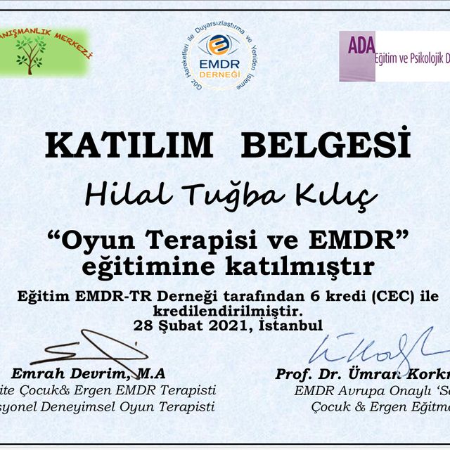 Resmi büyüt: certificate 4