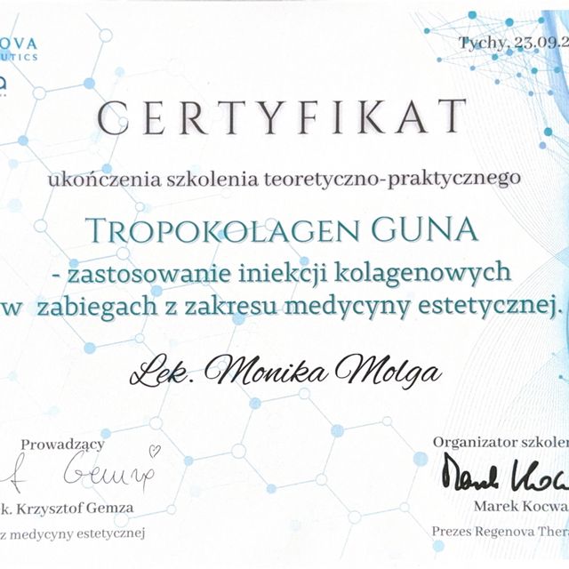 Powiększ obraz: certificate 11