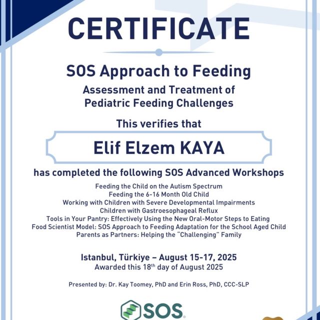 Resmi büyüt: certificate 6