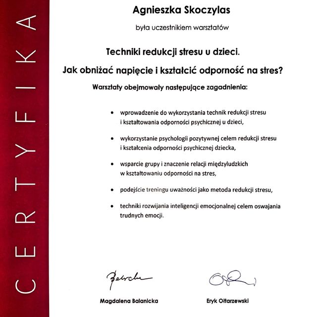 Powiększ obraz: certificate 11