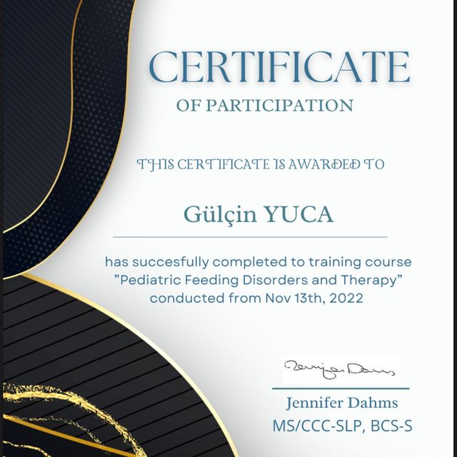 Resmi büyüt: certificate 1