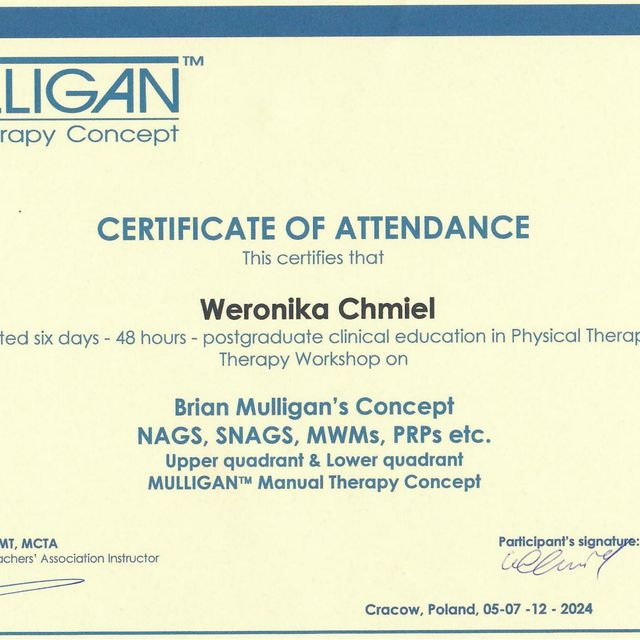 Powiększ obraz: certificate 4