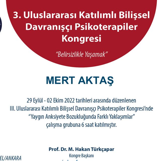 Resmi büyüt: certificate 2