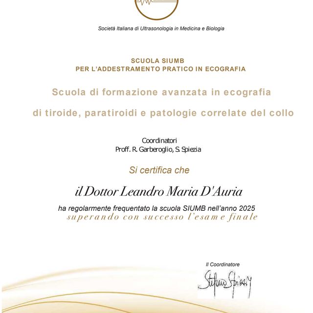 Ingrandire l'immagine: certificate 1