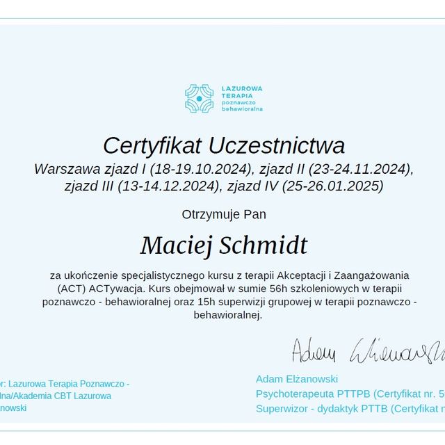 Powiększ obraz: certificate 7