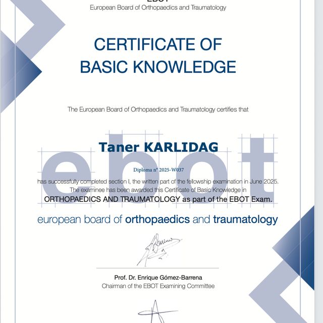 Resmi büyüt: certificate 6