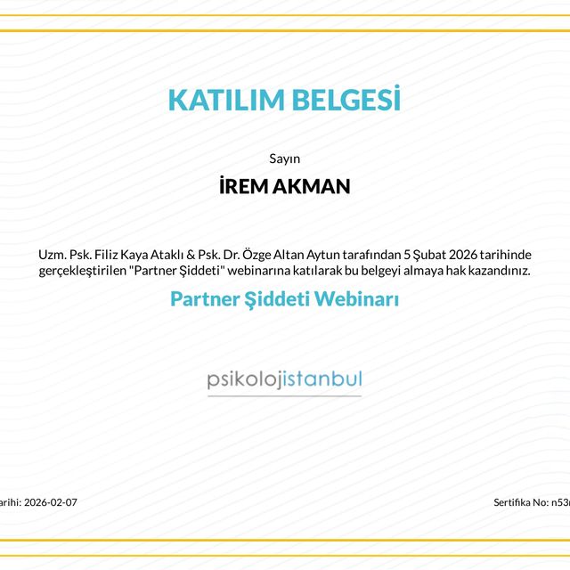 Resmi büyüt: certificate 28