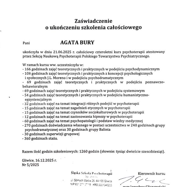 Powiększ obraz: certificate 2