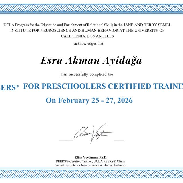 Resmi büyüt: certificate 12