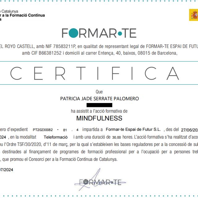 Acercar imagen: certificate 3