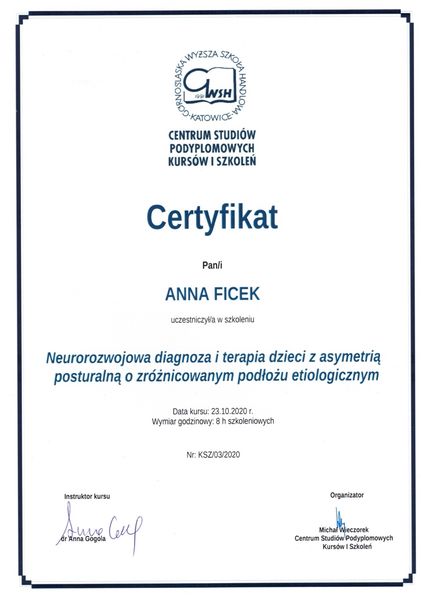 Powiększ obraz: certificate 5
