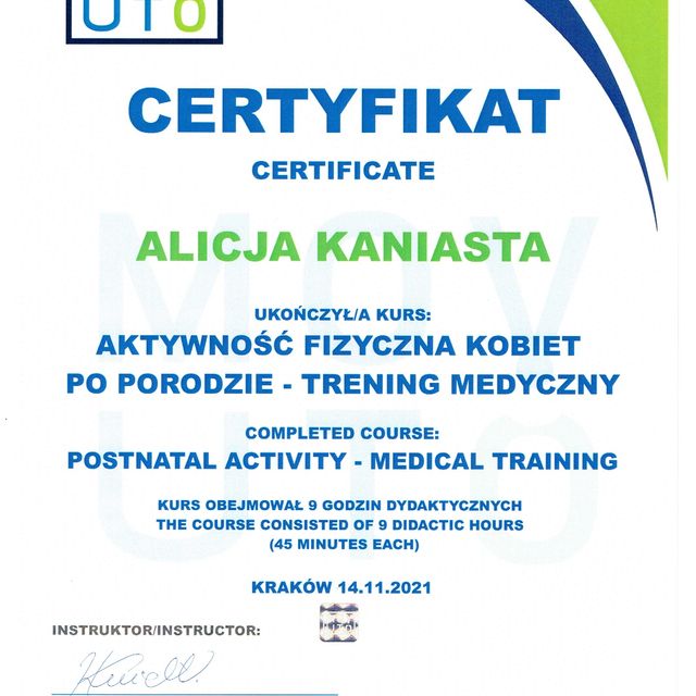 Powiększ obraz: certificate 11