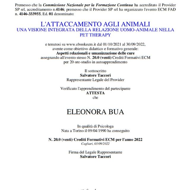 Ingrandire l'immagine: certificate 3