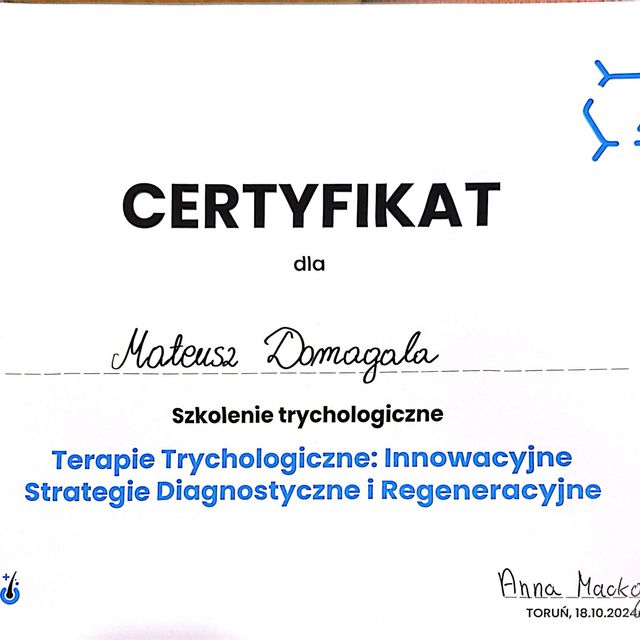 Powiększ obraz: certificate 4