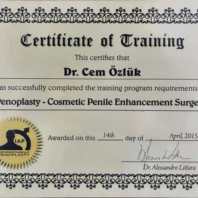 Resmi büyüt: certificate 2