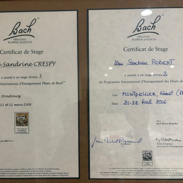 Acercar imagen: certificate 3