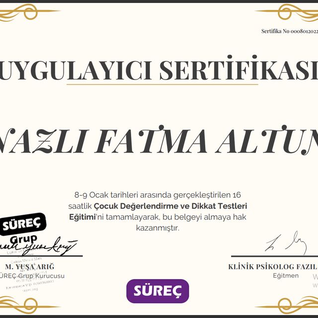 Resmi büyüt: certificate 2