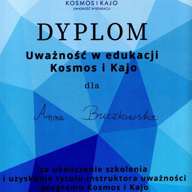 Powiększ obraz: certificate 11