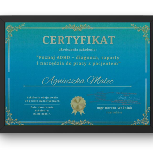 Powiększ obraz: certificate 1
