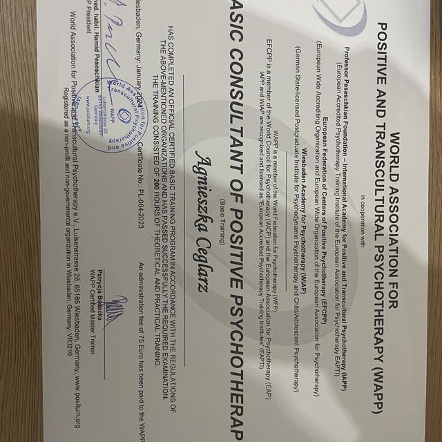 Powiększ obraz: certificate 1