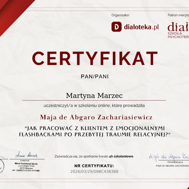 Powiększ obraz: certificate 1