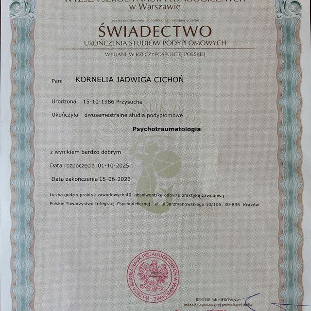 Powiększ obraz: certificate 4