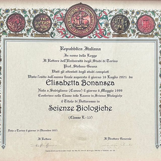Ingrandire l'immagine: certificate 1