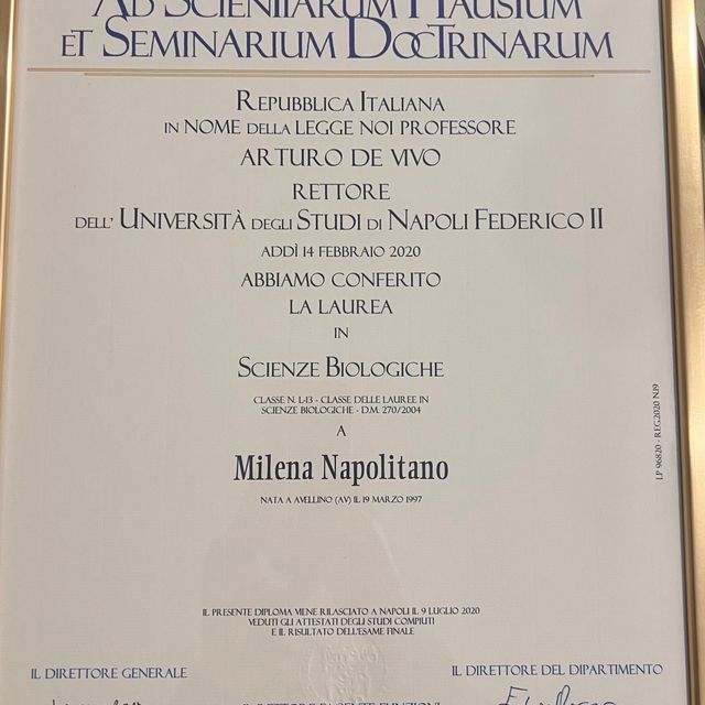 Ingrandire l'immagine: certificate 2