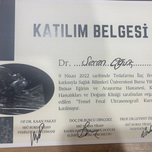 Resmi büyüt: certificate 4