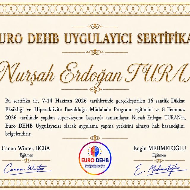 Resmi büyüt: certificate 2