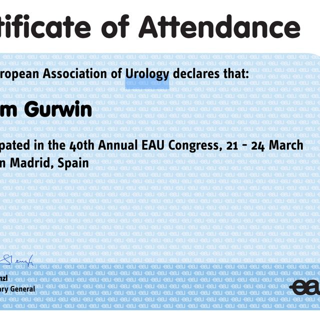 Powiększ obraz: certificate 2