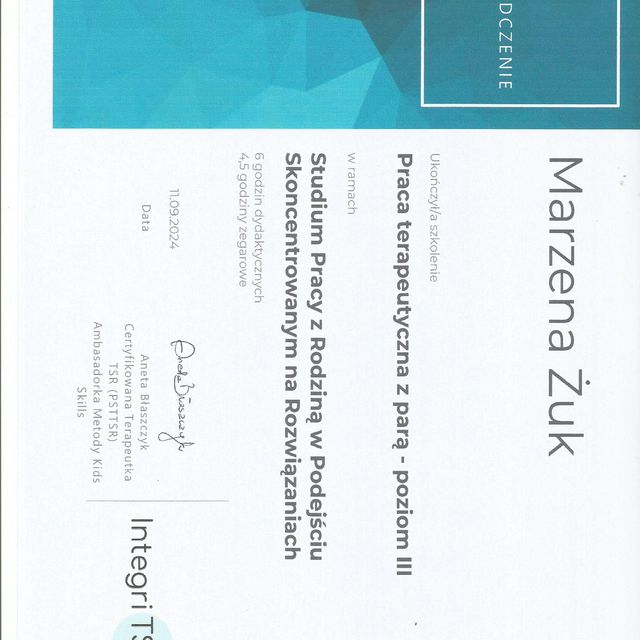 Powiększ obraz: certificate 3