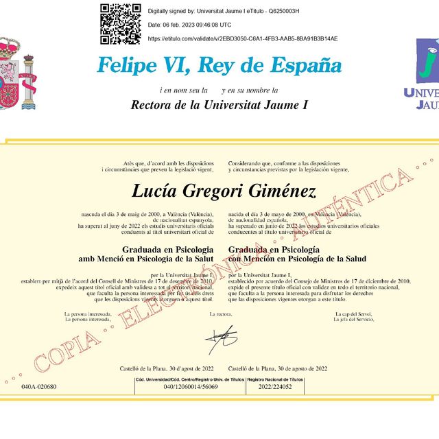 Acercar imagen: certificate 1
