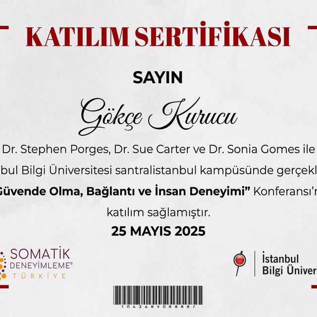 Resmi büyüt: certificate 9