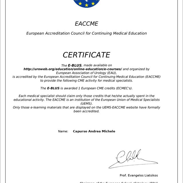 Ingrandire l'immagine: certificate 2