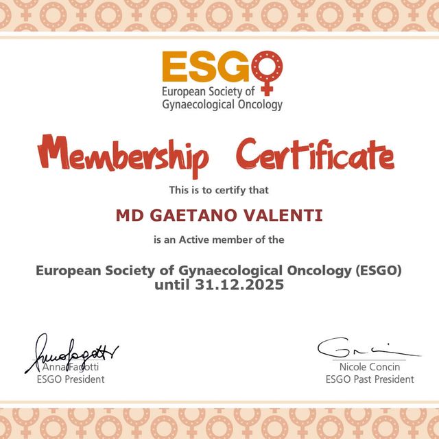 Ingrandire l'immagine: certificate 1