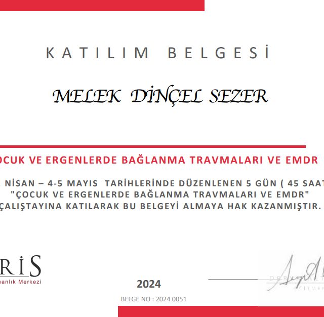 Resmi büyüt: certificate 11