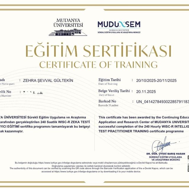 Resmi büyüt: certificate 2