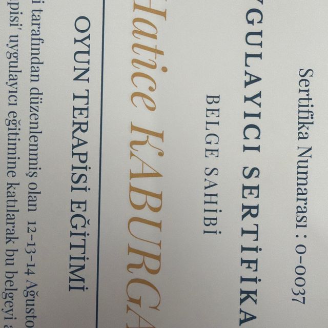 Resmi büyüt: certificate 15