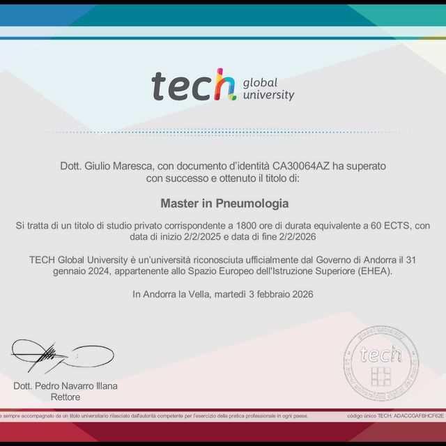 Ingrandire l'immagine: certificate 1