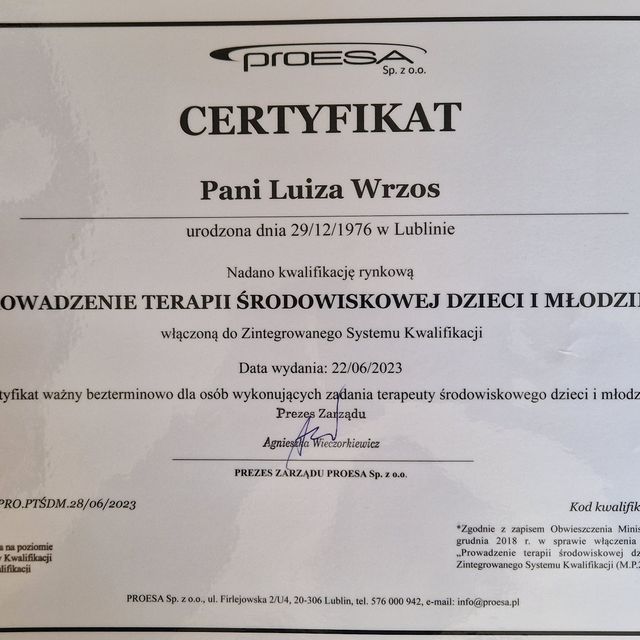 Powiększ obraz: certificate 6