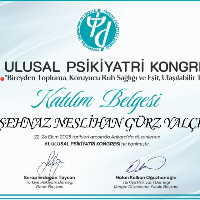 Resmi büyüt: certificate 17