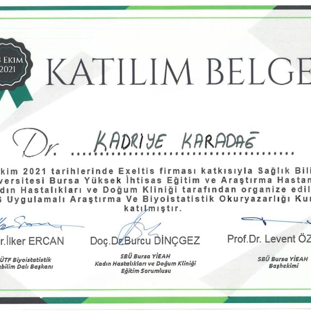 Resmi büyüt: certificate 17