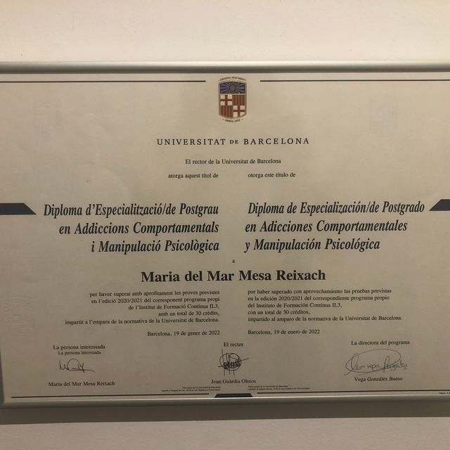 Acercar imagen: certificate 1