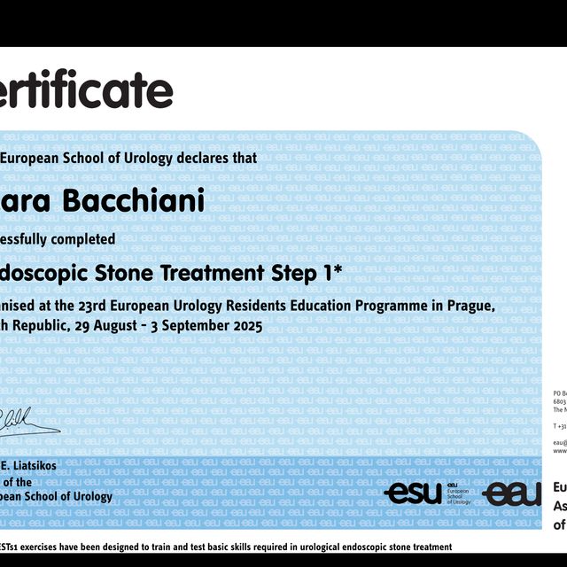 Ingrandire l'immagine: certificate 2